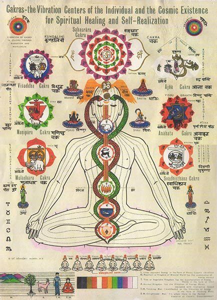 Chakra Poster By Sri Rammurti Mishra M D Ashtanga Yoga Los