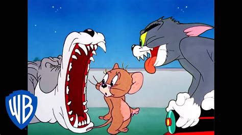 Tom And Jerry Episodes Youtube Playlist Perprof
