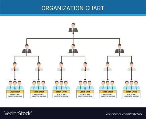 Organization Chart Info Graphics Design Royalty Free Vector