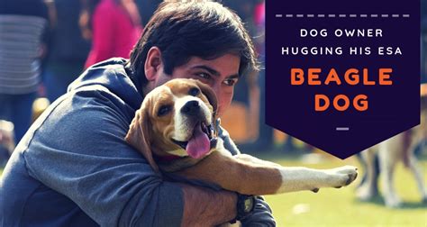 The service animal rules fall under this general principle. Psychiatric Service Animals Vs. ESA Animals | Therapy Pet