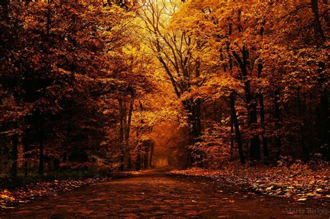 Autumn Aesthetic Wallpapers Top Free Autumn Aesthetic Backgrounds