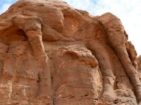 New fieldwork at what is now called the camel site revealed much earlier origins. Rock Art and Mystery: Ancient Camel Sculptures in Saudi Desert