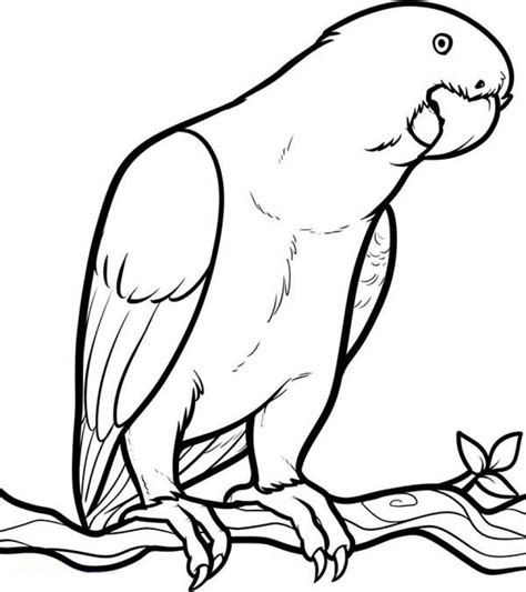Get This Free Parrot Coloring Pages 92377