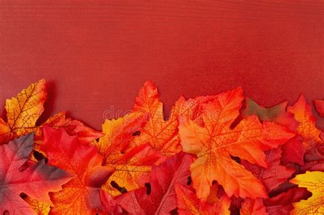 Fall Leaves On Wood Autumn Background Stock Photo Image Of Background