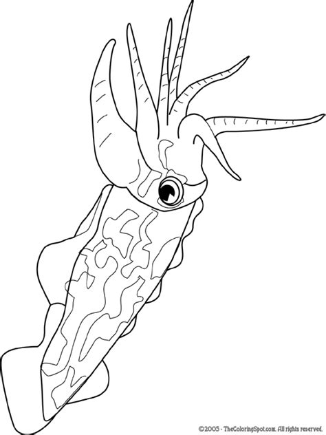 Cuttlefish Coloring Page | Audio Stories for Kids | Free Coloring Pages