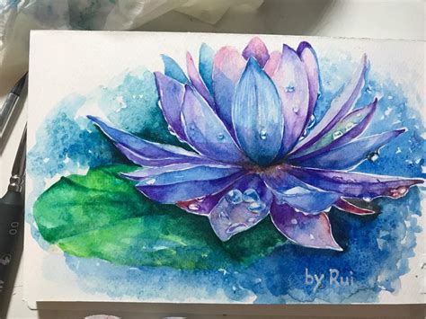 Easy Blue Water Lily Drawing Interesting Db