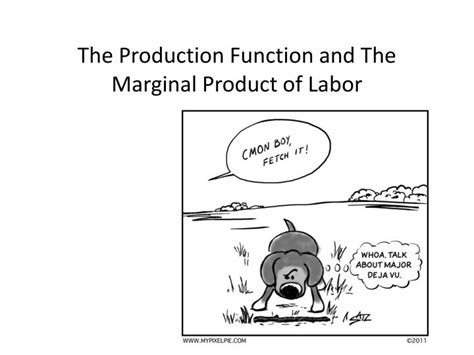 Then, illustrate that the marginal product of labor depends on the amount of labor hired by calculating find the value of q by using the production function. PPT - Unit 5: Factors of Production and their Market ...