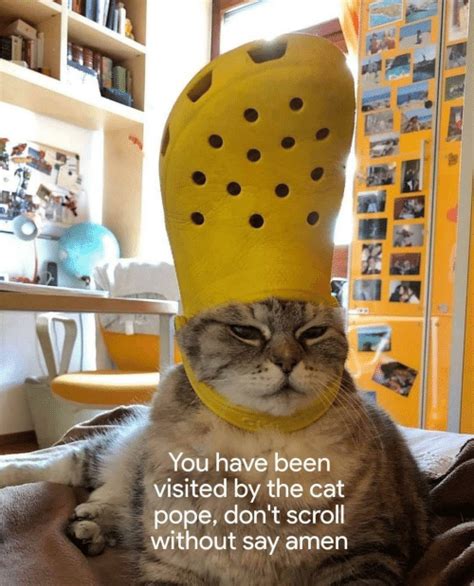 You Have Been Visited By The Cat Pope Dont Scroll Without Say Amen
