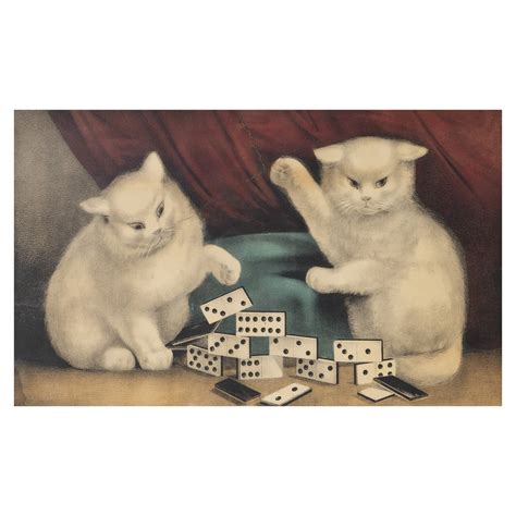 My Little White Kitties — Ciscos Gallery