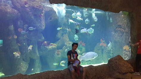 The shore oceanarium is a place similar to an aquarium. Malacca Tourism Association: The Shore Oceanarium