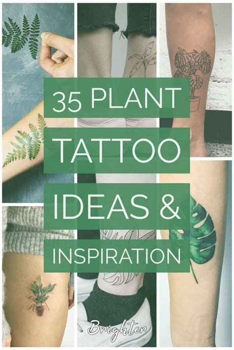 35 Plant Tattoo Ideas And Inspiration