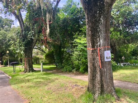 See reviews, photos, directions, phone numbers and more for mt dora theater company locations in mount dora, fl. Government & Education news - MOUNT DORA BUZZ