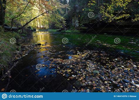 Autumn Landscape Colorful Leaves On Trees Morning At River Stock Photo