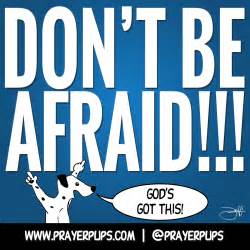 Do Not Be Afraid Christian Meme Christian Cartoons From Prayer Pups