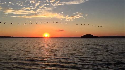Morning Sunrise With Geese Inflight On Percy Priest Lake