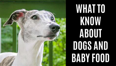 Carrots, beans, bananas, squash, and watermelon baby food can be fed to dogs. Can Dogs Eat Baby Food? What You Need To Know - Spoiled Hounds