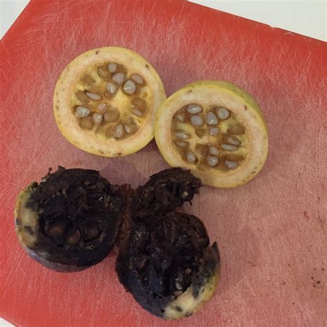 Amazonian fruits from the peru amazon rainforest are unsual and strange. Forum: Strange And Mysterious Fruit Tree