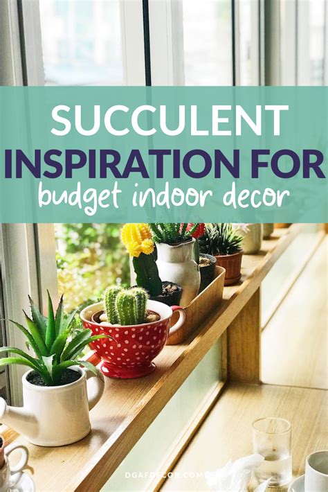 Chop all ingredients and mix together with the cooked cactus. The indoor succulent garden is a simple DIY budget ...