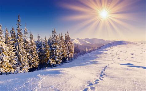 Winter, Schnee, Wald, Wanderwege, Berge, Himmel, Sonne 2560x1600 HD