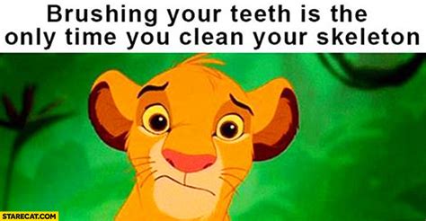 Funny Lion King Memes Clean Funny Png