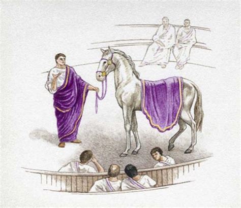 Hold Your Horses Did Caligula Actually Make A Steed A Roman Consul