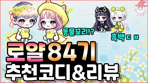 메이플 가이드앱이 메이플 인챈터로 돌아왔습니다! 메이플 로얄스타일 84기 코디 & 리뷰 - YouTube