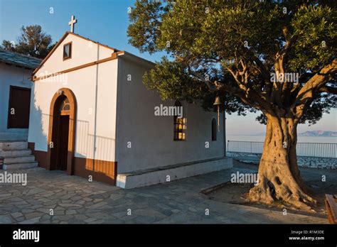 Olive Tree And The Church Of Agios Ioannis Kastri At Sunset Famous From Mamma Mia Movie Scenes