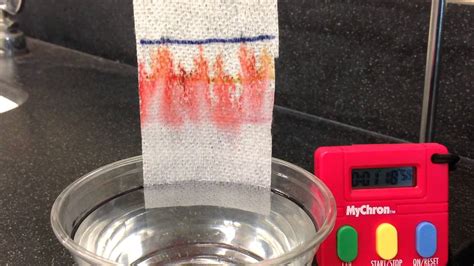 Station 2 Demo Capillary Action Youtube
