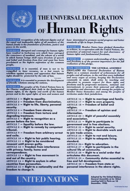 Universal Declaration Of Human Rights Poster Radical Tea Towel