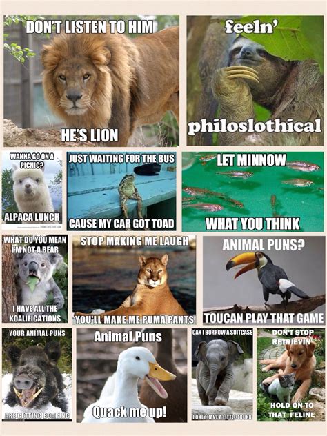 Animal Puns Funny Animal Jokes Animal Puns Animal Jokes