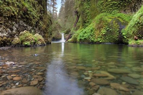 The Eagle Creek Trail To Punch Bowl Falls Hike The Gorge Guide