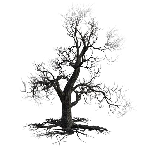 Halloween Tree Png File Png Mart
