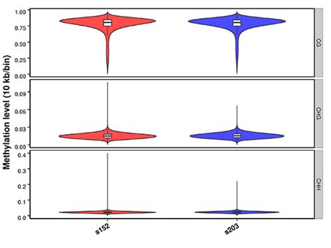 Whole Genome Bisulfite Sequencing Novogene