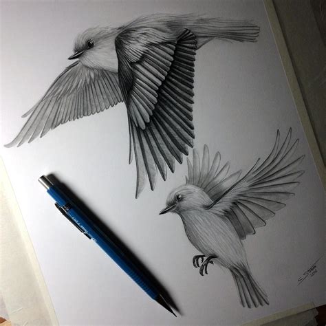 Pencil Drawing Of Birds Flying Pencildrawing2019