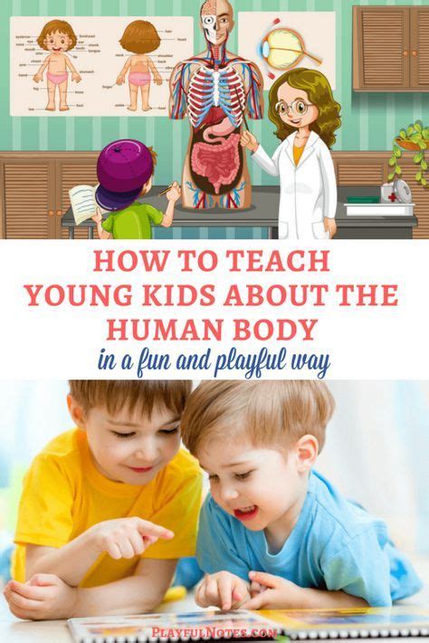 How To Teach Young Kids About The Human Body In A Fun And Playful Way