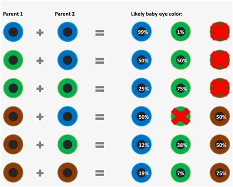 Baby eye color chart
