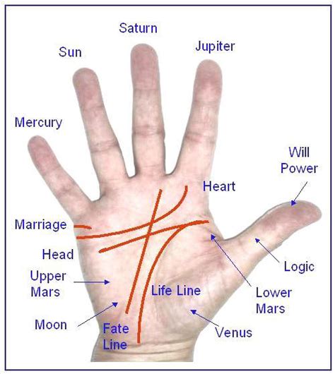Palmistry Reading Lines Palm Reading Know Your Future