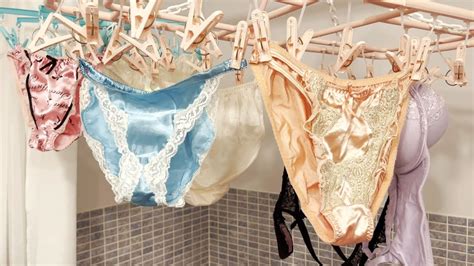 Wash And Dry Hanging Underwear Clip Rack 6 Lingerie Underwear