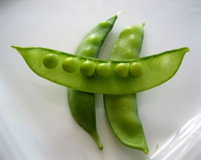 Memandang luasnya langit dan segala pemandangan indah yang telah diciptakan oleh tuhan dengan. Mendelian Genetics - Mrs. Hughes' Biology Site