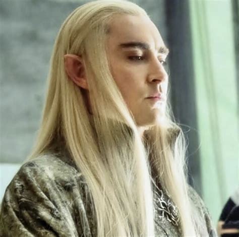 Pin By Stuff And Things On Lee Pace Archive Thranduil Lee Pace