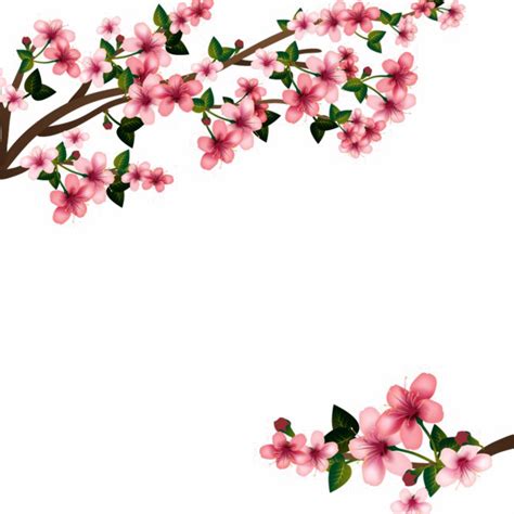 Cherry Blossom PNG Images Transparent Free Download | PNGMart.com gambar png