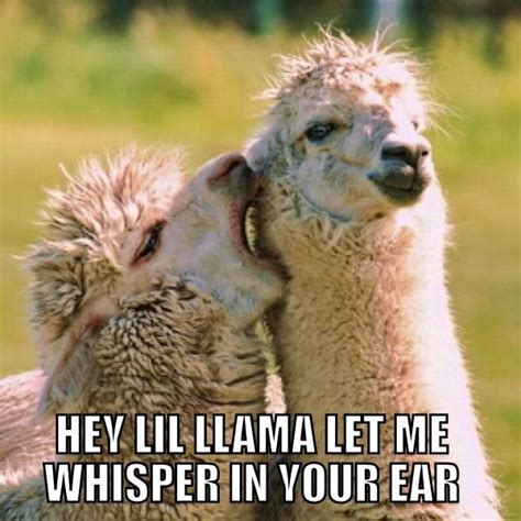 Let me whisper in your ear 350. Let Me Whisper In Your Ear - Meme Painted