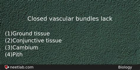 Closed Vascular Bundles Lack Neetlab