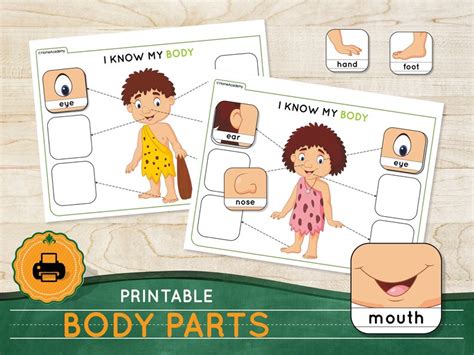 Body Parts Matching Game Printable Toddler Busy Book 2 Year Etsy Uk