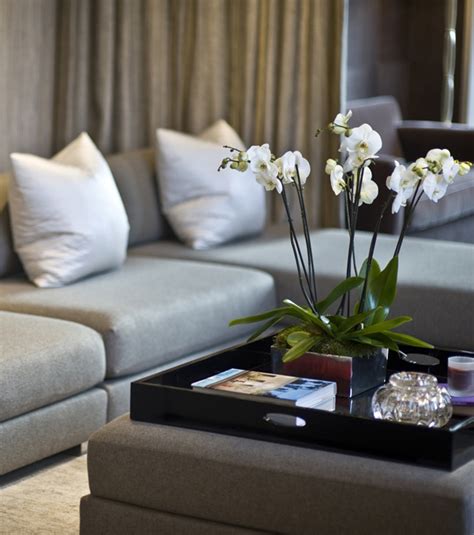 But adding fun displays to my coffee table by decorating with trays…. Styling Tips for Decorating with Trays