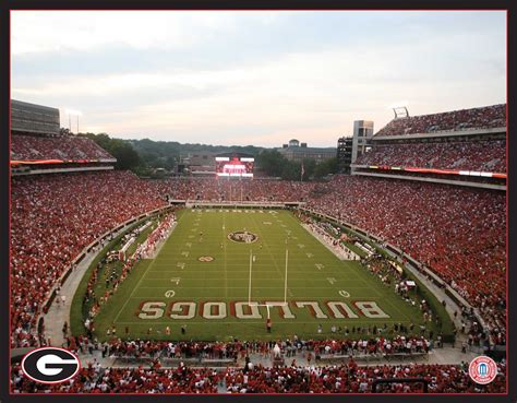 Georgia Bulldogs Stadium Shirley Mclaughlin