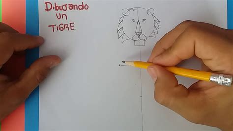 Como Dibujar Un Tigre How To Draw A Tiger YouTube