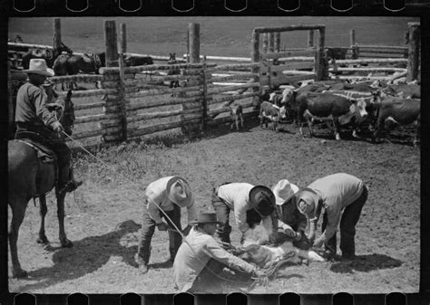 Savage model 24s.22 over 20 ga 12 Vintage Pictures of Cattle Branding - Modern Farmer