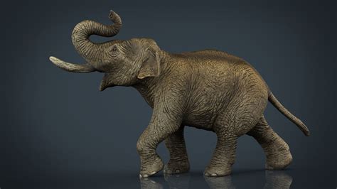 3d Model Asian Elephant Vr Ar Low Poly Cgtrader