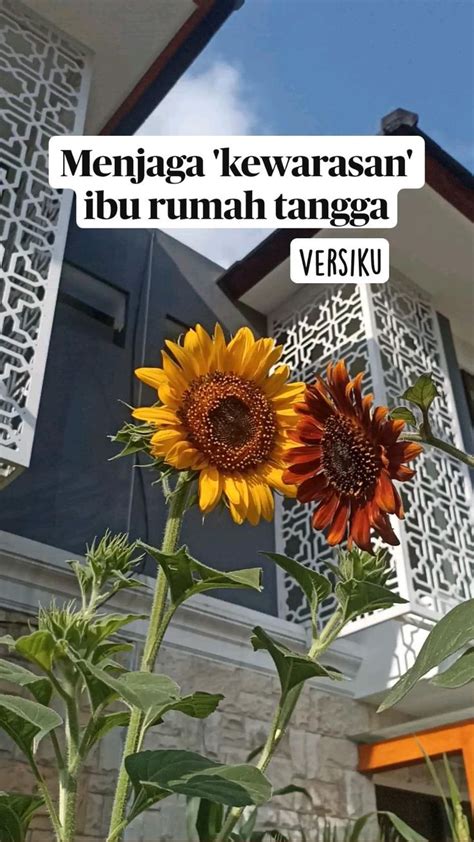 Menjaga Kewarasan Ibu Rumah Tangga Versiku